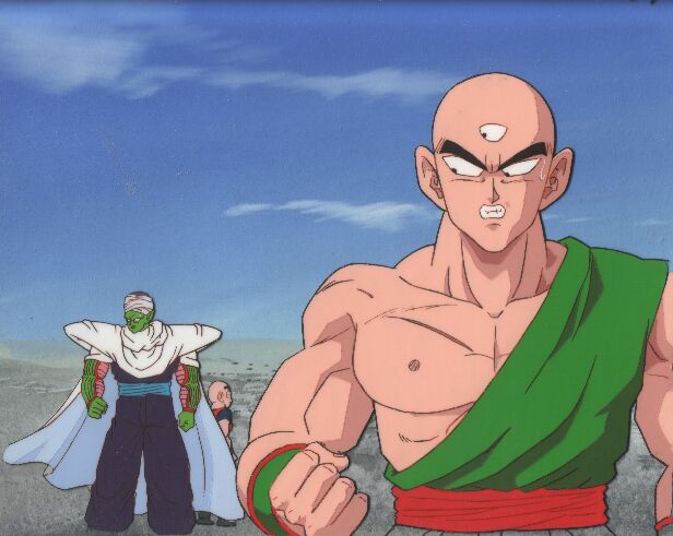 Z Warriors